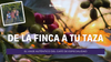 Café de Especialidad: Un viaje extraordinario desde la Finca hasta tu Taza