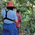 Freedom Society x Finca El Gavilán